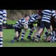 image 41 of 88